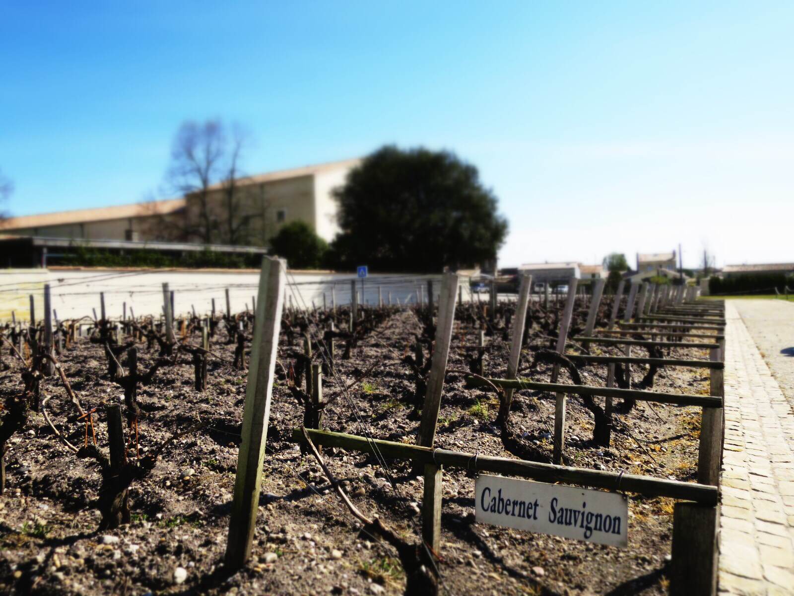 Bordeaux En Primeur 2024
